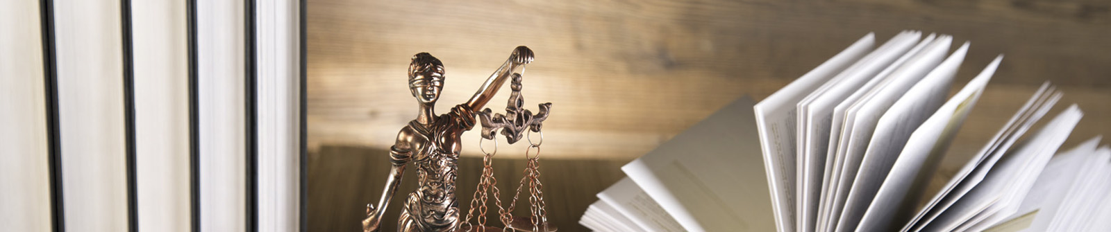 estudio ruiz y abogados